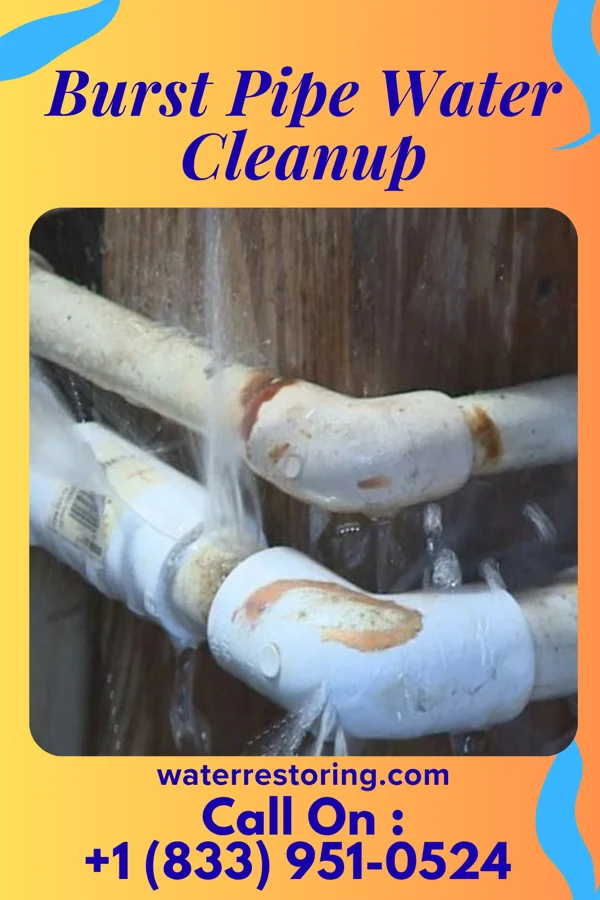 Burst Pipe Water Cleanup in Oakmont, PA