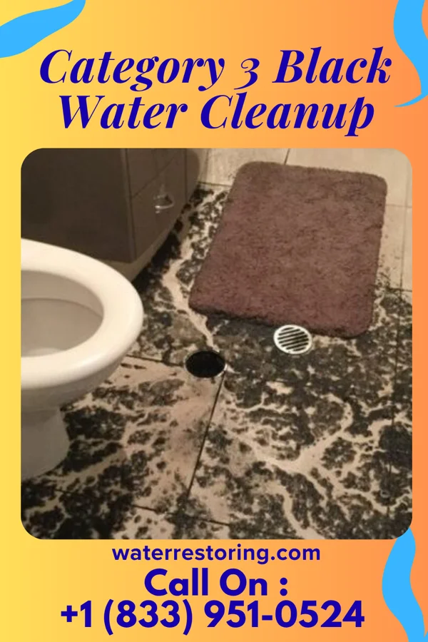 Category 3 Black Water Cleanup in Oakmont, PA