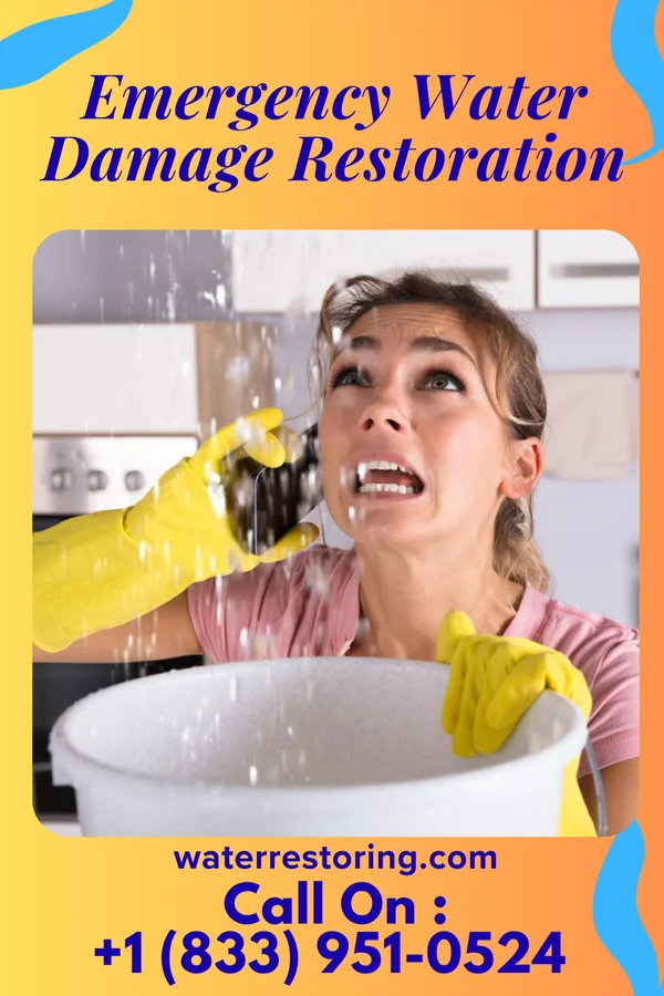 Emergency Water Damage Restoration in Oakmont, PA