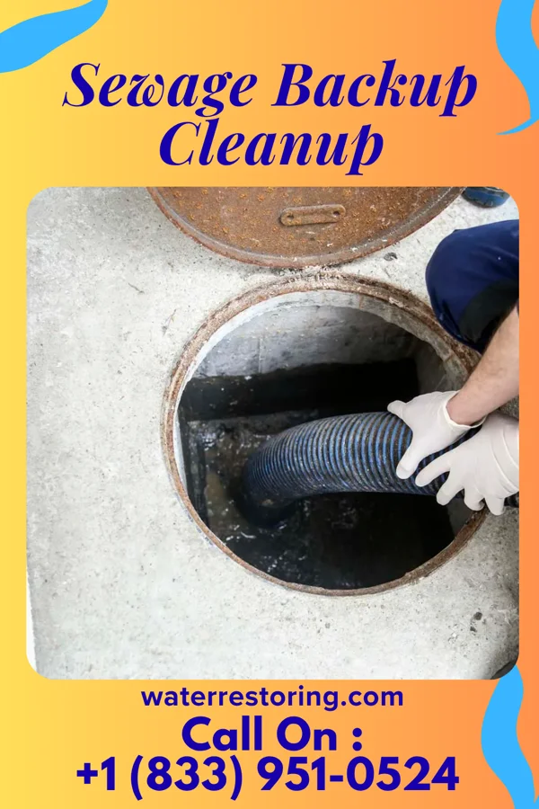 Sewage Backup Cleanup in Oakmont, PA