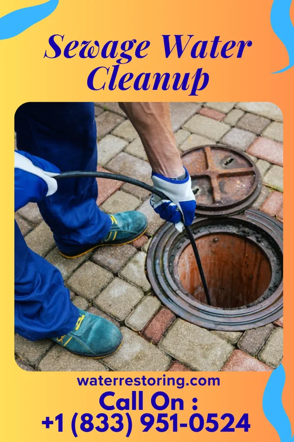 Sewage Water Cleanup in Oakmont, PA