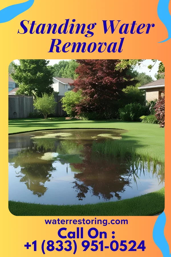 Standing Water Removal in Oakmont, PA